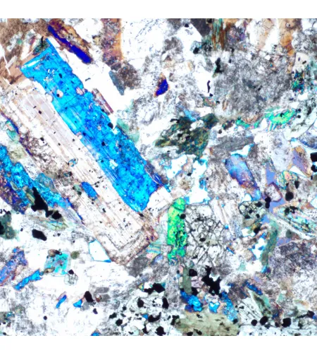 MAGUS Pol D850 poliarizuojantis skaitmeninis mikroskopas