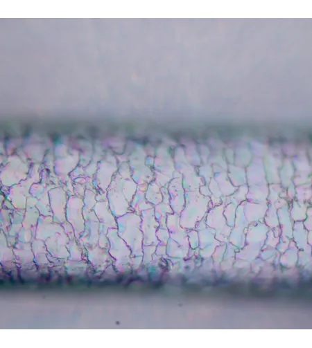 MAGUS Pol D850 Поляризационный цифровой ЖК-микроскоп