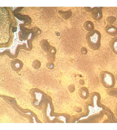 Apverstas metalografinis mikroskopas MAGUS Metal V790 DIC