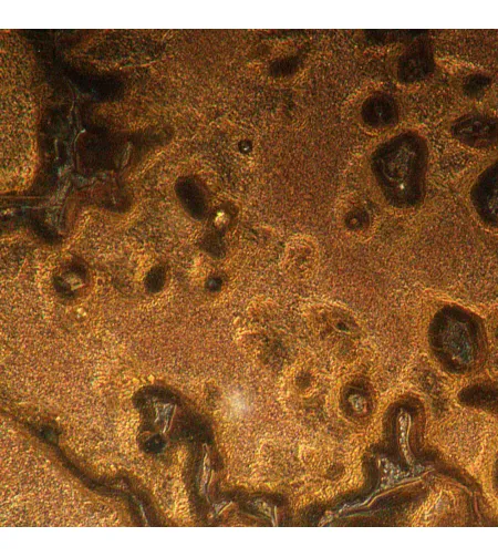 Apverstas metalografinis mikroskopas MAGUS Metal V790 DIC