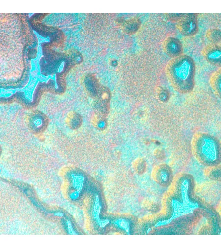 Apverstas metalografinis mikroskopas MAGUS Metal V790 DIC