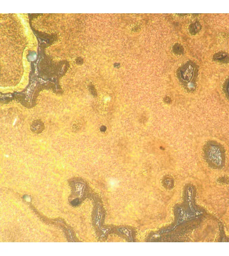 Apverstas metalografinis mikroskopas MAGUS Metal V790 DIC