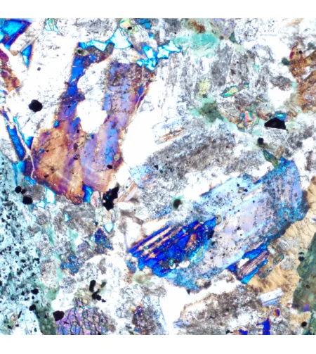 Poliarizuojantis mikroskopas MAGUS Pol 890