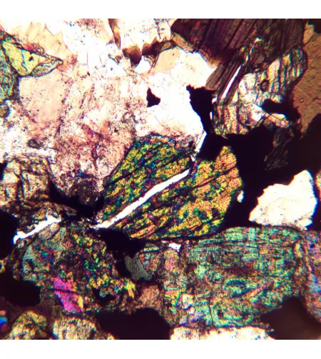 Poliarizuojantis mikroskopas MAGUS Pol 890