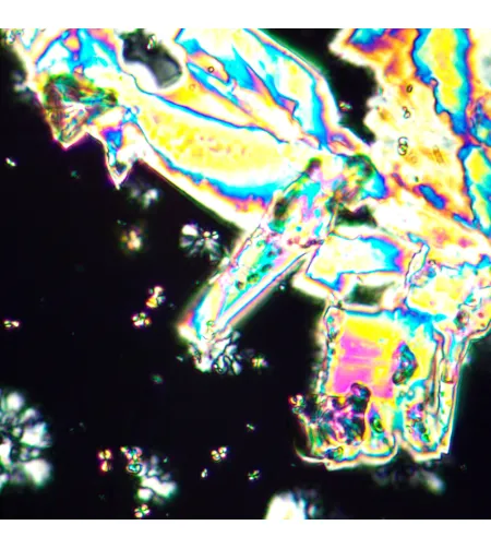 Poliarizuojantis mikroskopas MAGUS Pol 890