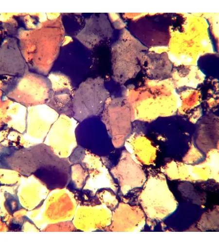 Poliarizuojantis mikroskopas MAGUS Pol 890