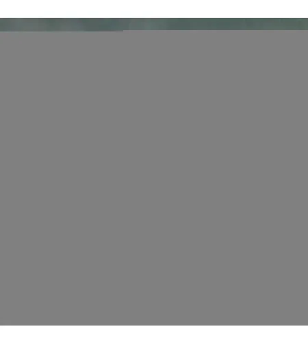 MAGUS Stereo A6 Stereomicroscope