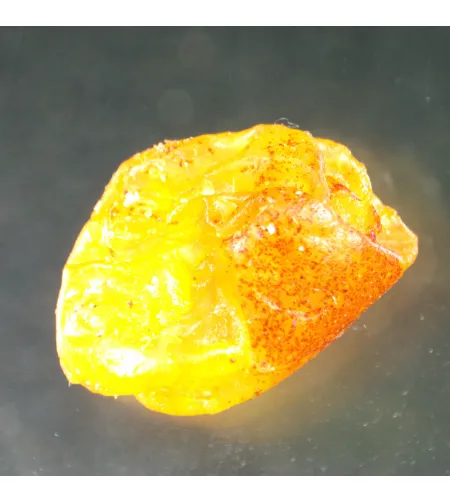 Stereoskopinis mikroskopas MAGUS Stereo A8