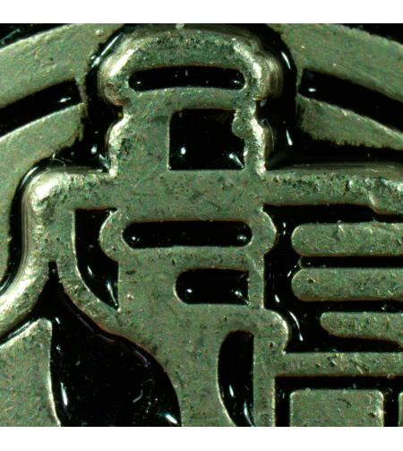 Stereoskopinis mikroskopas MAGUS Stereo A8