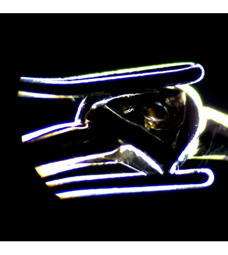 Stereoskopinis mikroskopas MAGUS Stereo 7B