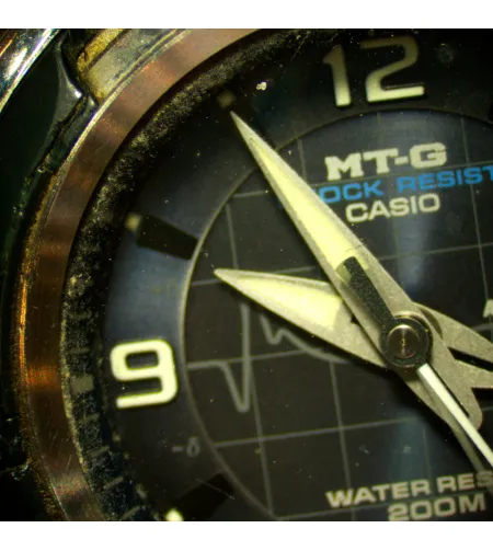 Stereoskopinis mikroskopas MAGUS Stereo 8T