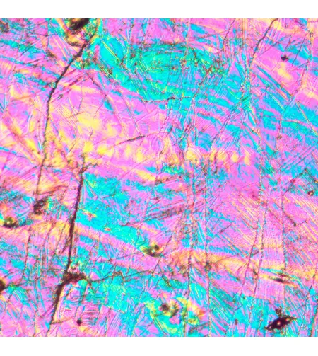 Invertuotas metalografinis mikroskopas MAGUS Metal V700 DIC