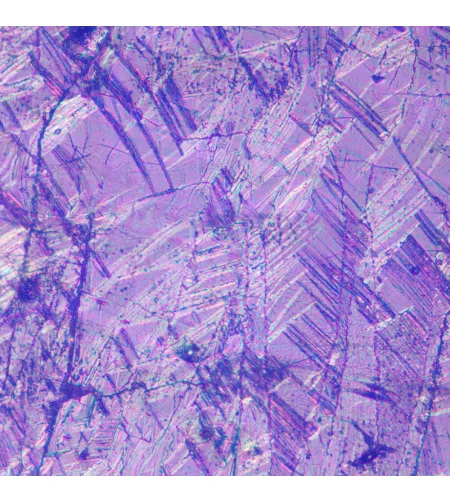 Invertuotas metalografinis mikroskopas MAGUS Metal V700 DIC