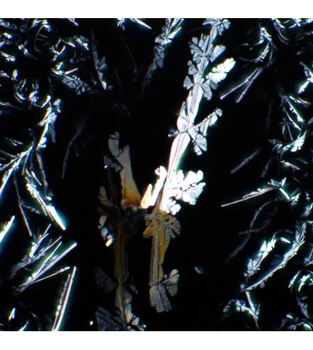 MAGUS SPD2 poliarizatoriaus / analizatoriaus rinkinys