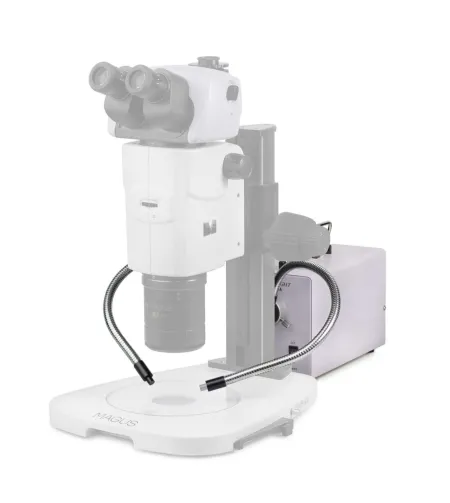 MAGUS CLI18T šaltoji šviesa su dvigubu šviesos kreiptuvu