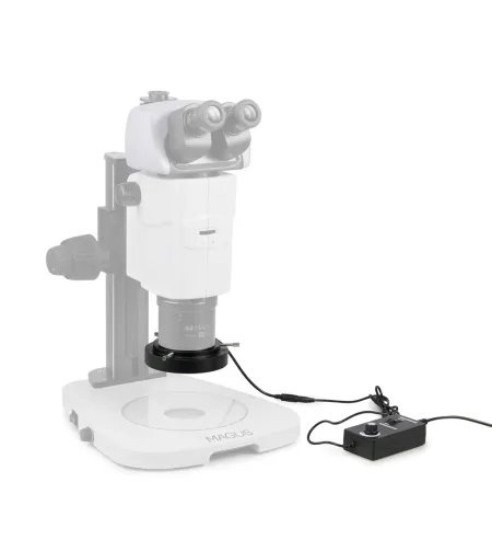 MAGUS LED RL18T žiedinis šviestuvas