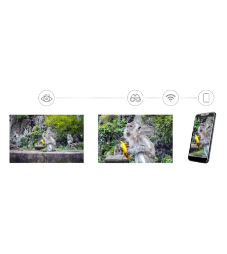 Levenhuk Kelvin Snap ED 8x42 digitaalne fotobinokkel