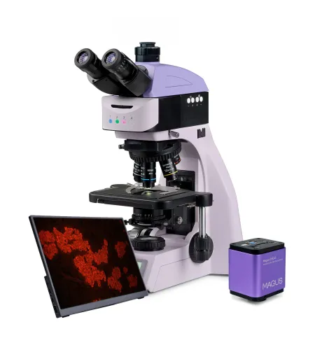 MAGUS Lum D460L LCD fluorescences digitālais mikroskops