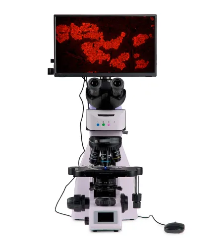 MAGUS Lum D460L LCD fluorescences digitālais mikroskops