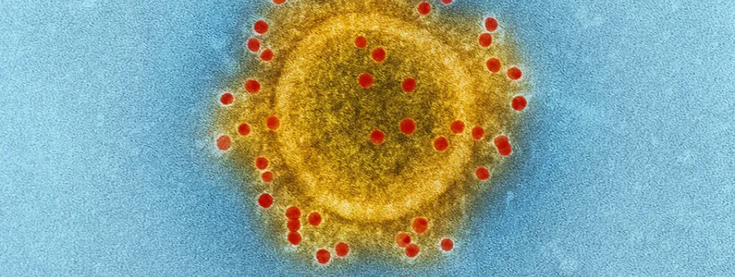 Atbildes uz visbiežāk uzdotajiem jautājumiem par mikroskopiem