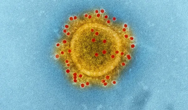 Atbildes uz visbiežāk uzdotajiem jautājumiem par mikroskopiem