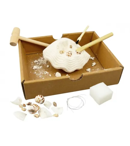 Pētnieciskais komplekts - rokassprādze, Buki, Dig Kit - Shells