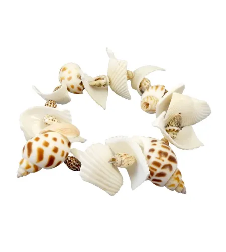 Pētnieciskais komplekts - rokassprādze, Buki, Dig Kit - Shells