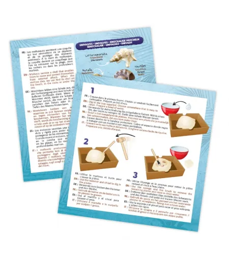 Pētnieciskais komplekts - rokassprādze, Buki, Dig Kit - Shells