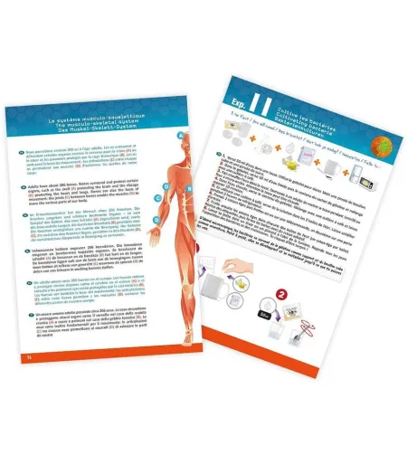 Eksperimentu komplekts, Buki, Cilvēka ķermenis