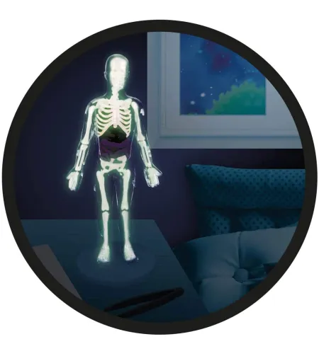 Eksperimentu komplekts, Buki, Cilvēka ķermenis