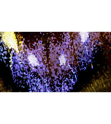 BRESSER Science ETD-301 7-63x Trino Zoom stereomikroskopas