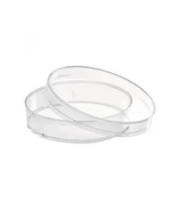 Plastic Petri dishes (55 mm)