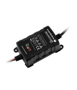 everActive CBC-1 6V / 12V 1000mA полностью автоматическое зарядное устройство до 1.1Ah + (