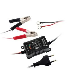 everActive CBC-1 6V / 12V 1000mA полностью автоматическое зарядное устройство до 1.1Ah + (