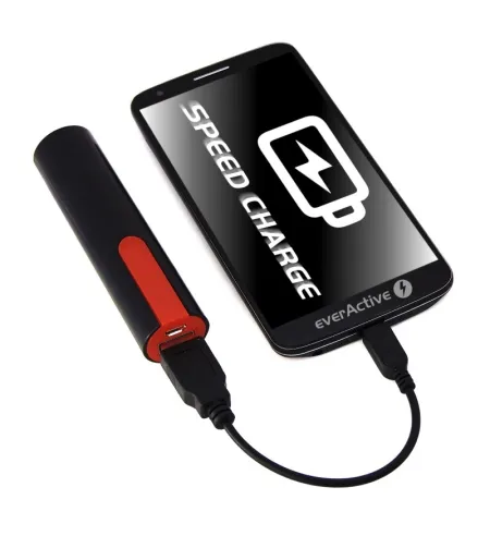 everActive EC-10 charger and powerbank 2 in 1