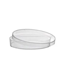 Plastic Petri dishes (100 mm)