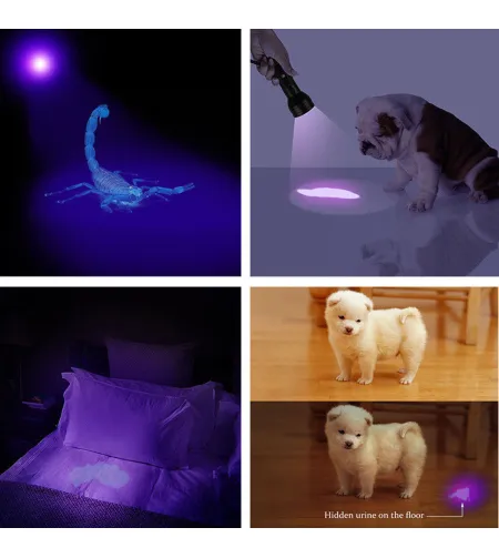 UV Ultra Violet 21  LED Flashlight Blacklight Light 395 nM Inspection Lamp Torch