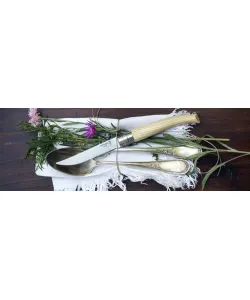 PEILIS OPINEL BLISTER Nerūdijantis plienas NR 10