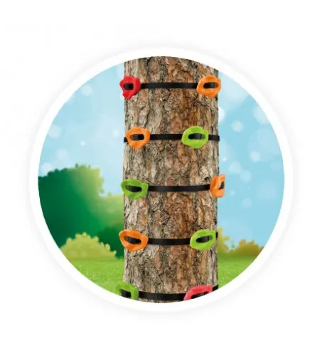 Nuotykių laipiojimas, Buki