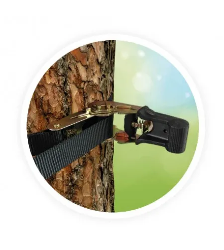 Nuotykių laipiojimas, Buki