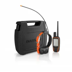 Hunting and pet training