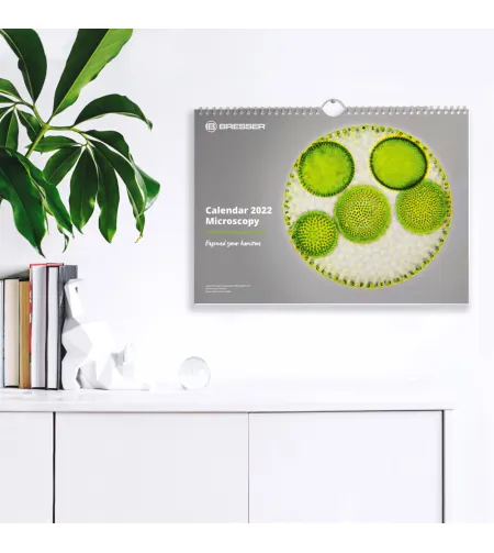 BRESSER Kalendorius 2022 m. Mikroskopija