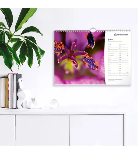 BRESSER Kalendorius 2022 m. Mikroskopija