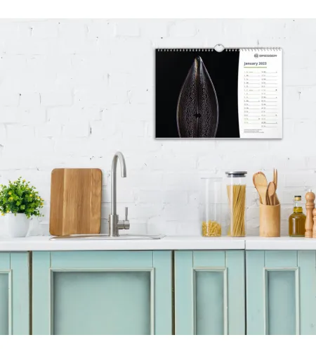 BRESSER Kalendorius 2022 m. Mikroskopija