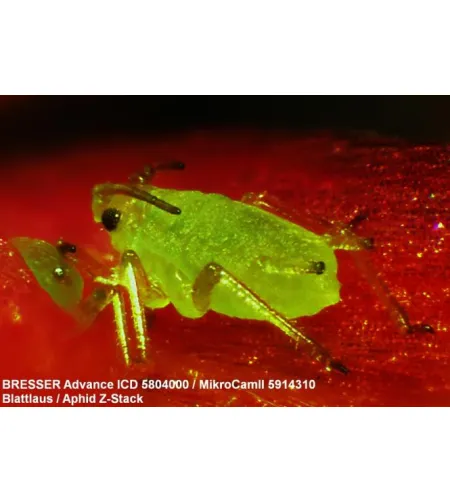 Stereomikroskopas Bresser Advance ICD 10X-160X