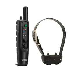 Lemmiklooma koolitus