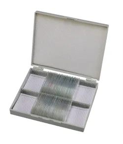 Parengtos skaidrės: Bresser histologija