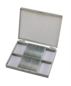 Parengtos skaidrės: Bresser histologija