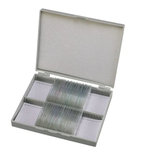 Parengtos skaidrės: Bresser histologija