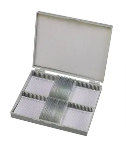 Parengtos skaidrės: 50 vnt Box BRESSER